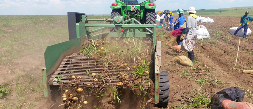 Cras tempus ligula a tempor adipiscing